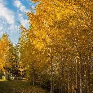 Alpen Ville Отель